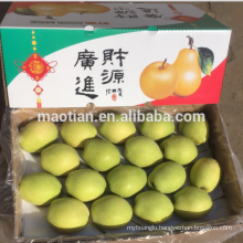 Year 2016 New Season Shandong Pears